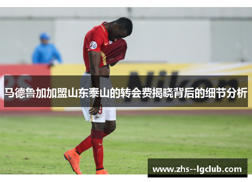 马德鲁加加盟山东泰山的转会费揭晓背后的细节分析